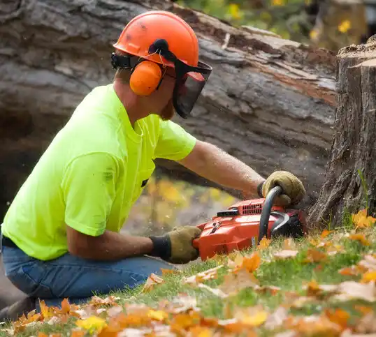 tree services Sag Harbor